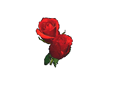 POUR MON CHERI