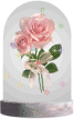 UNE ROSE ..........................