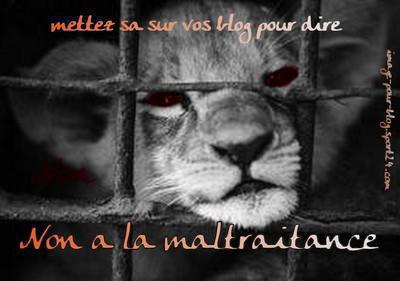 Oui il faut arreter le massacre ...