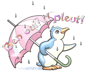 il pleut !!!!!!!!!