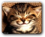 Tro mimi !!!!!!!!!!!!!!!!!!!!!!!!