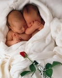 BEBES