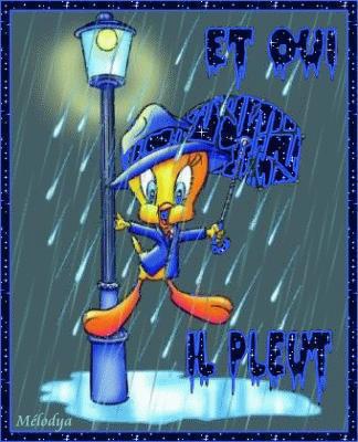 ENCOR ET ENCOR ....................................